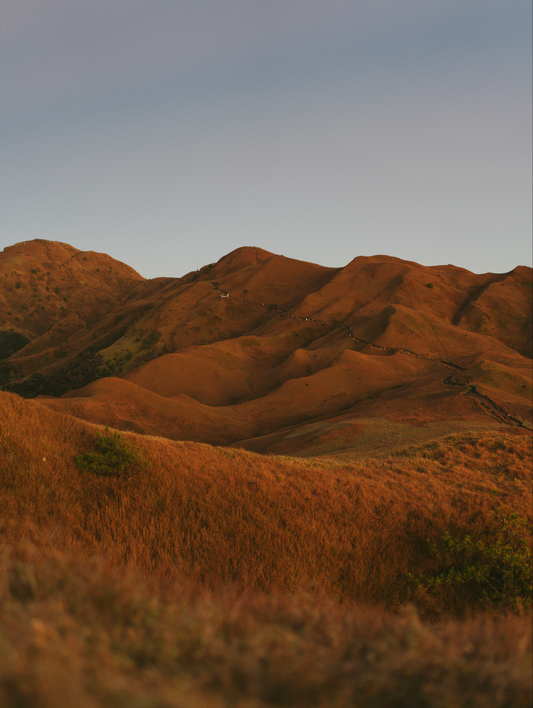 March of Hundreds of Orbs to Pulag